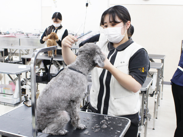２年生はお客様の愛犬とスキルアップ♪